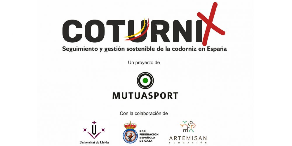Baleares participa en ‘Coturnix’, el proyecto de ciencia ciudadana aplicada a la conservación de la codorniz