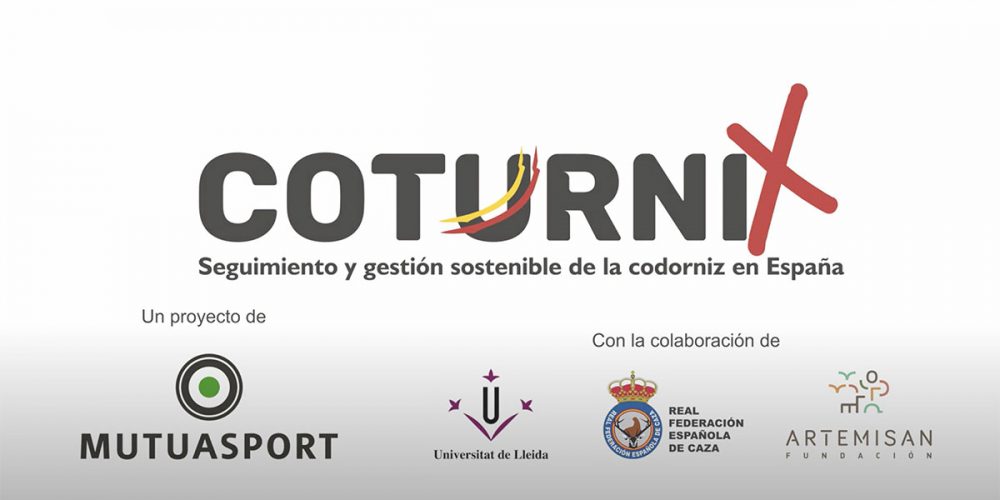 En marcha el Proyecto Coturnix: Seguimiento y Gestión Sostenible de la codorniz  ‬