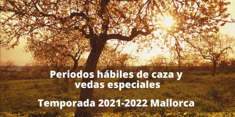 Publicada la orden de vedas de Mallorca para el periodo 2021-2022