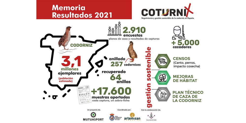 La población de codorniz en España mantiene un estado de conservación favorable con 3,1 millones de ejemplares