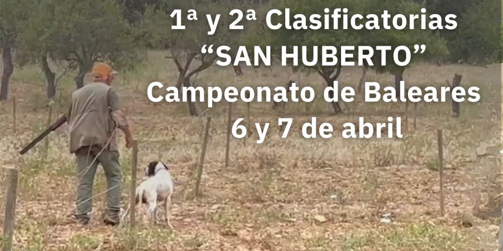 Llegan las primeras pruebas clasificatorias San Huberto | Campeonato de Baleares