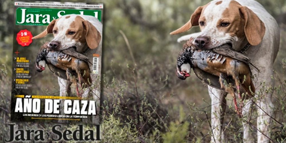 Las sociedades de caza federadas podrán acceder gratis a la revista Jara y Sedal