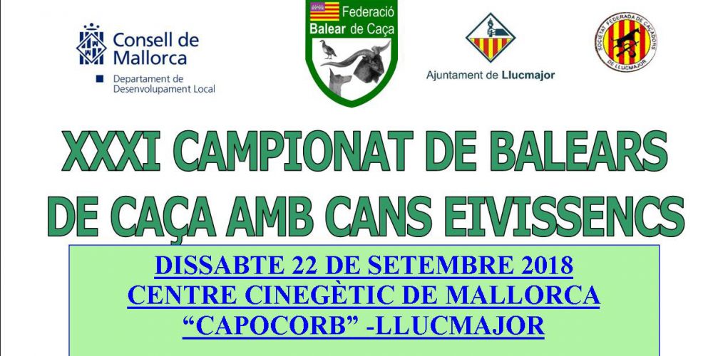 Imagen en miniatura de entrada