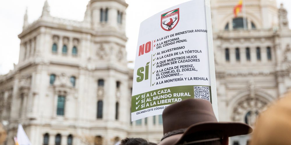 Imagen en miniatura de entrada