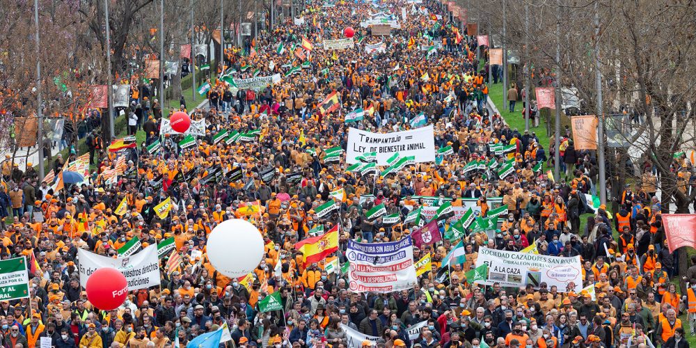 Imagen en miniatura de entrada
