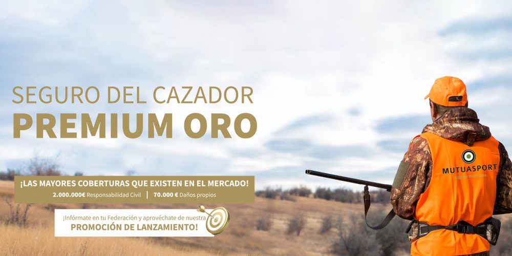 Imagen en miniatura de entrada