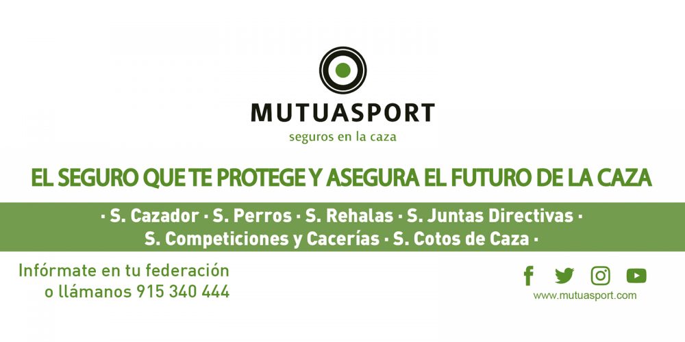 Imagen en miniatura de entrada