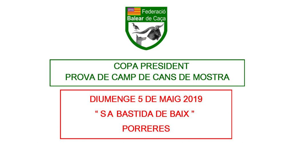 Imagen en miniatura de entrada