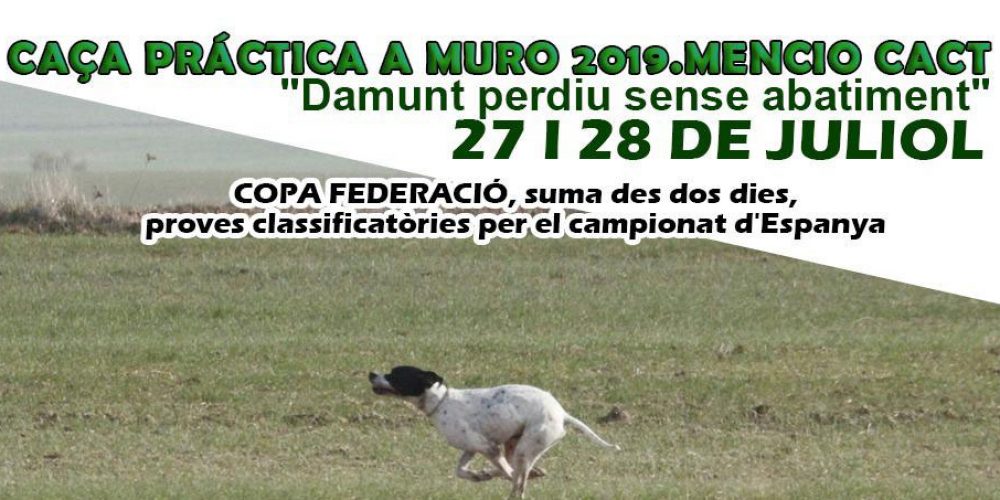 Imagen en miniatura de entrada