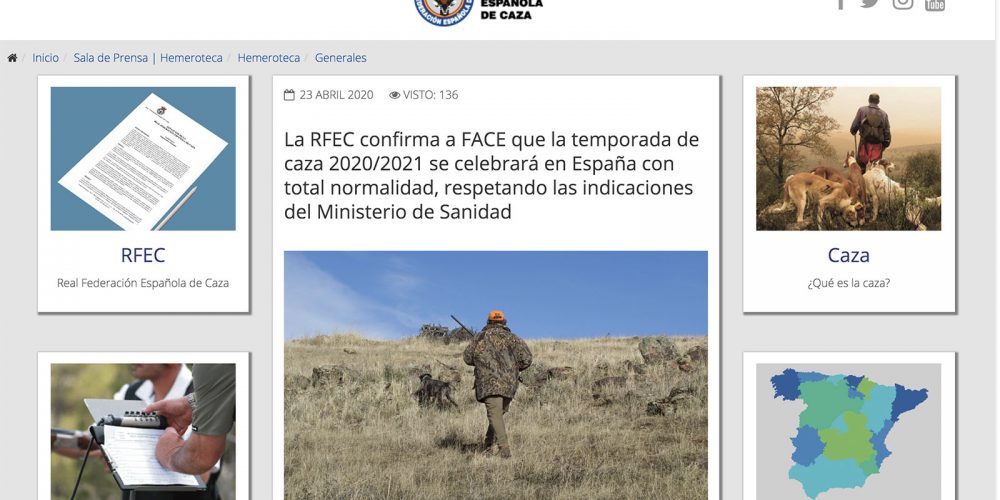 Imagen en miniatura de entrada