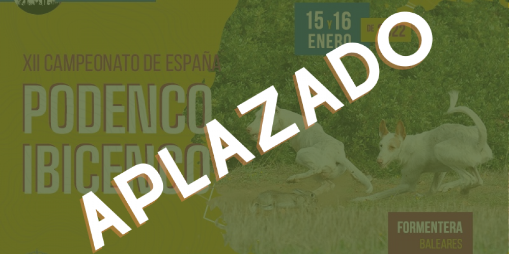 Imagen en miniatura de entrada