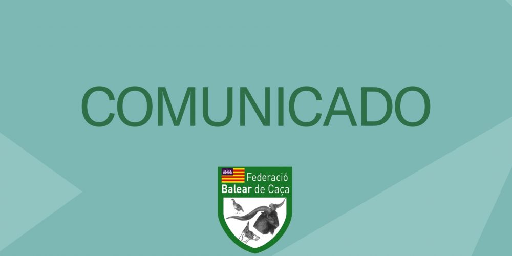 Imagen en miniatura de entrada