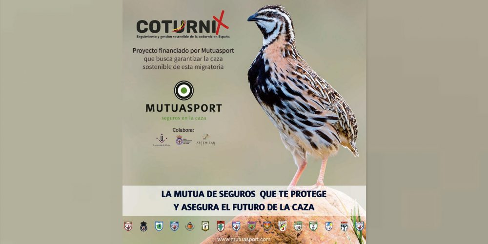 Imagen en miniatura de entrada