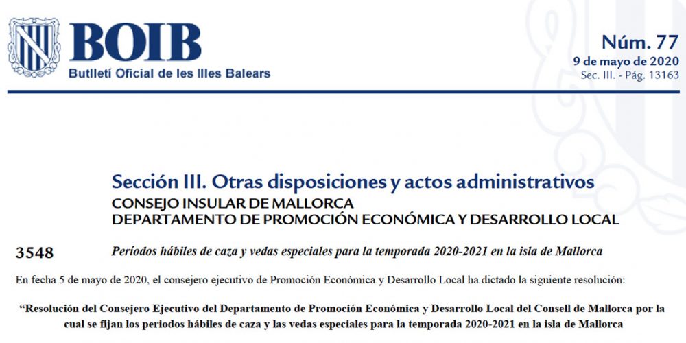 Imagen en miniatura de entrada