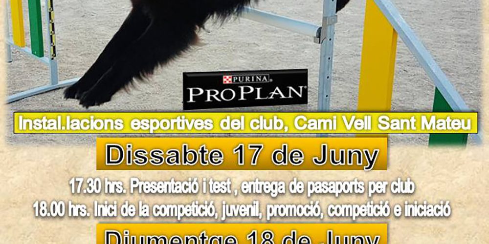 Imagen en miniatura de entrada