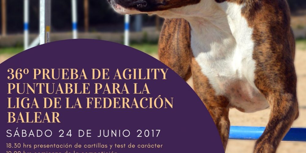 Imagen en miniatura de entrada