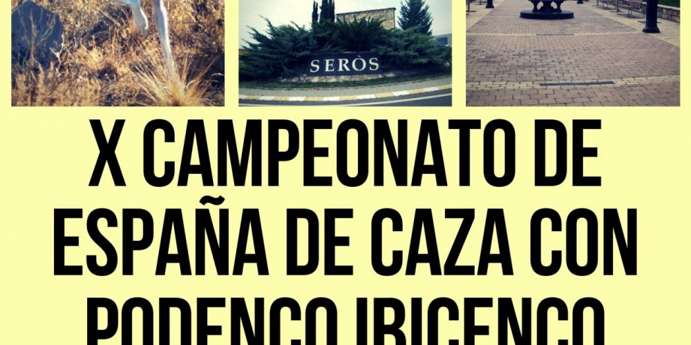 Imagen en miniatura de entrada
