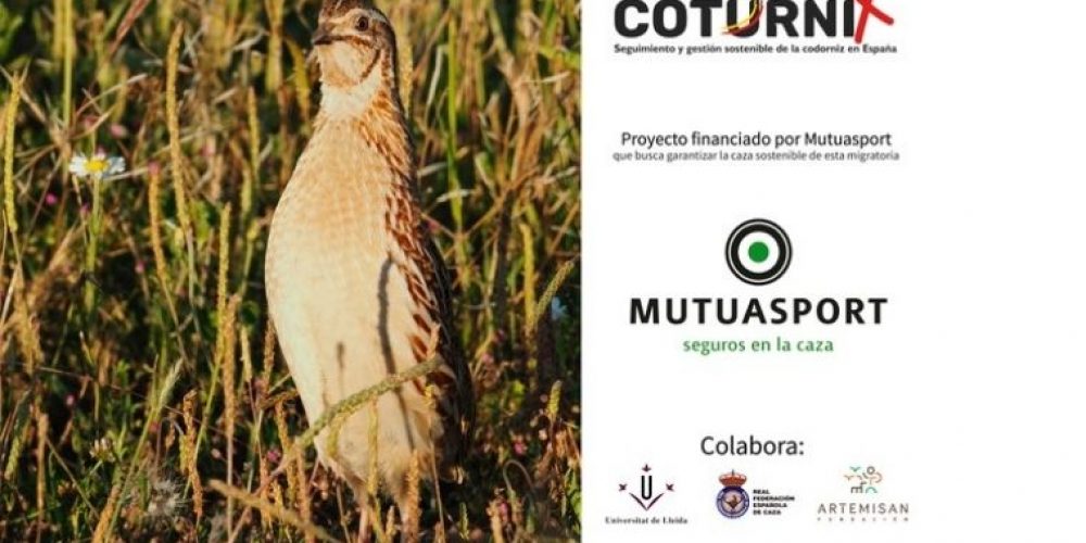 Imagen en miniatura de entrada
