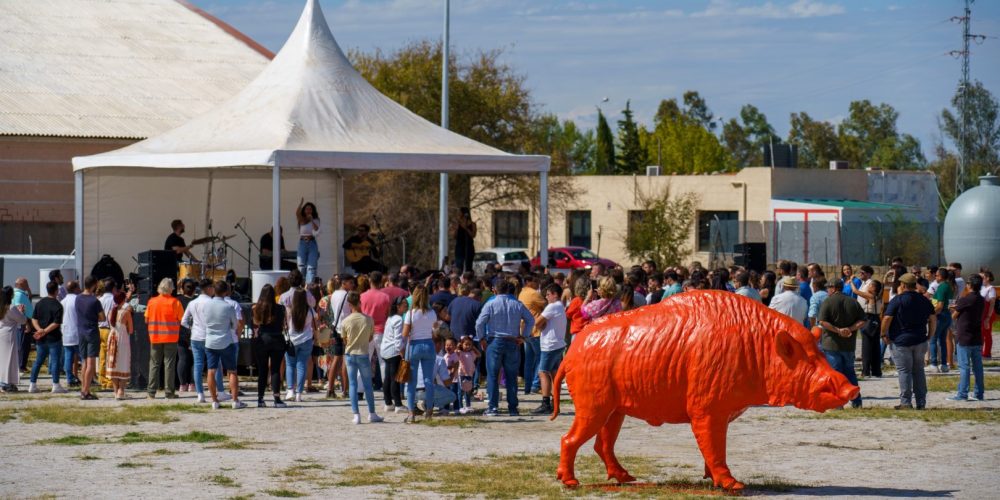 Imagen en miniatura de entrada