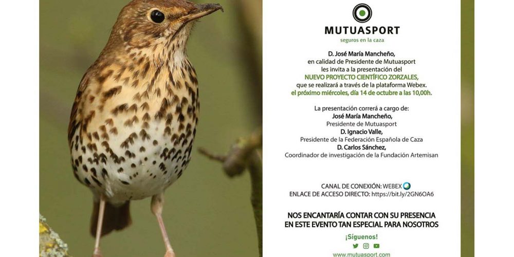 Imagen en miniatura de entrada