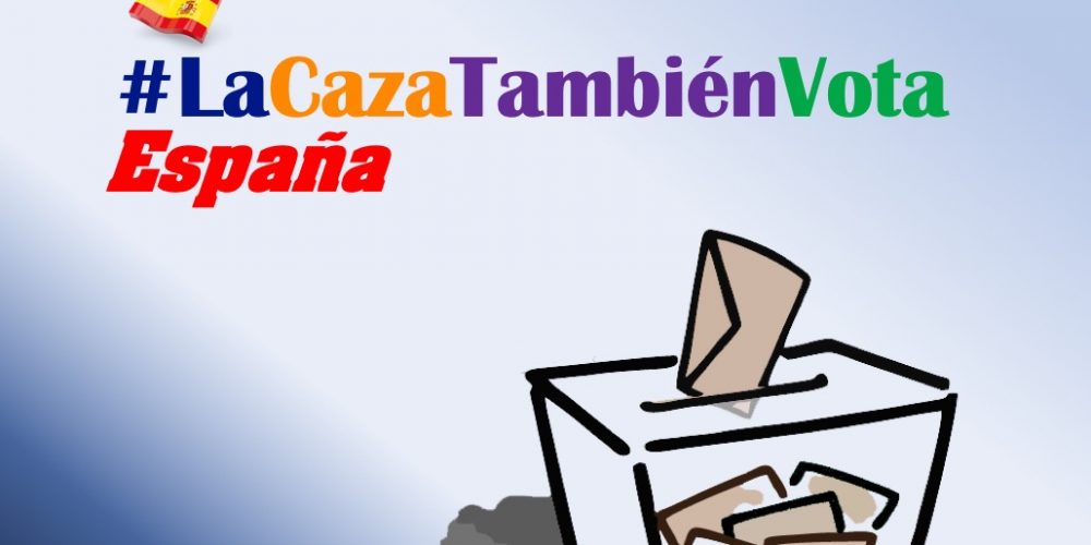 Imagen en miniatura de entrada