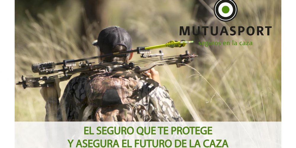 Imagen en miniatura de entrada