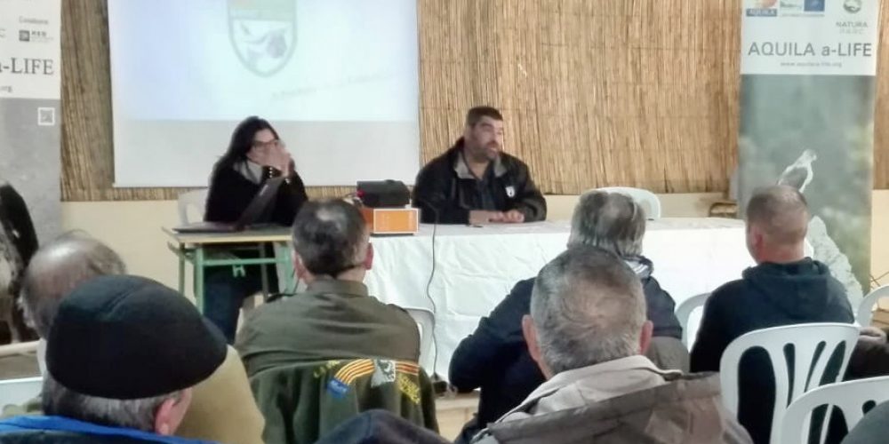 Imagen en miniatura de entrada