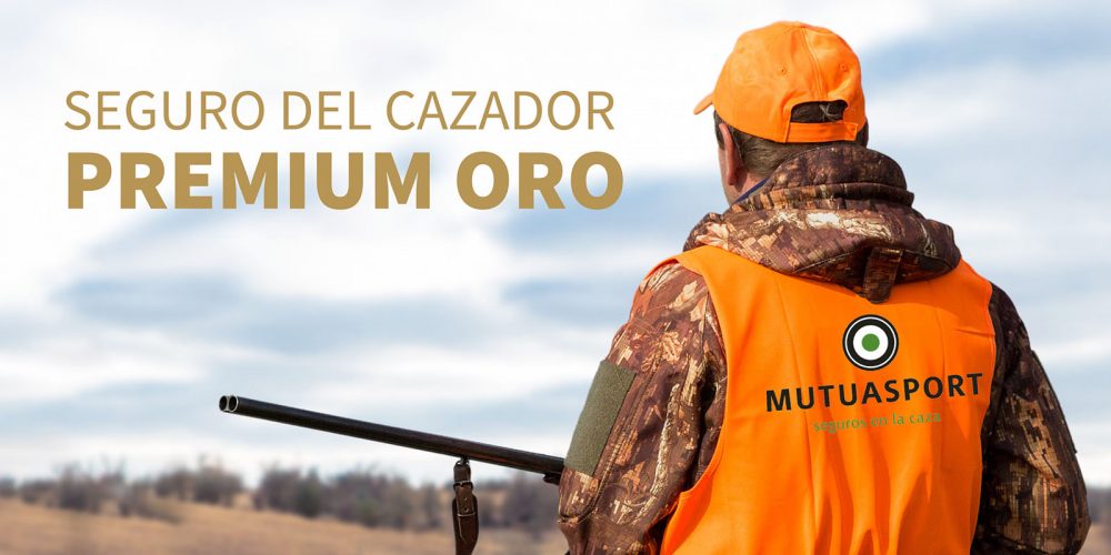 Imagen en miniatura de entrada