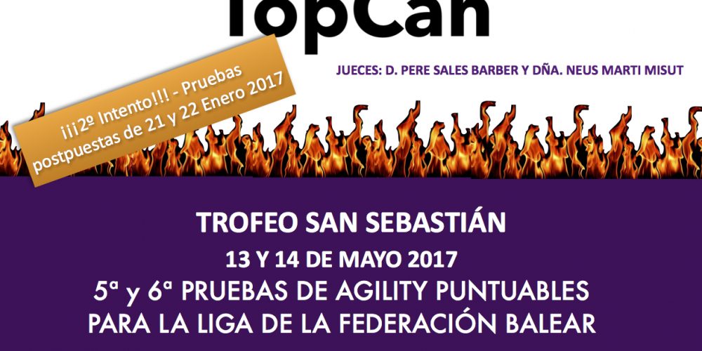 Imagen en miniatura de entrada