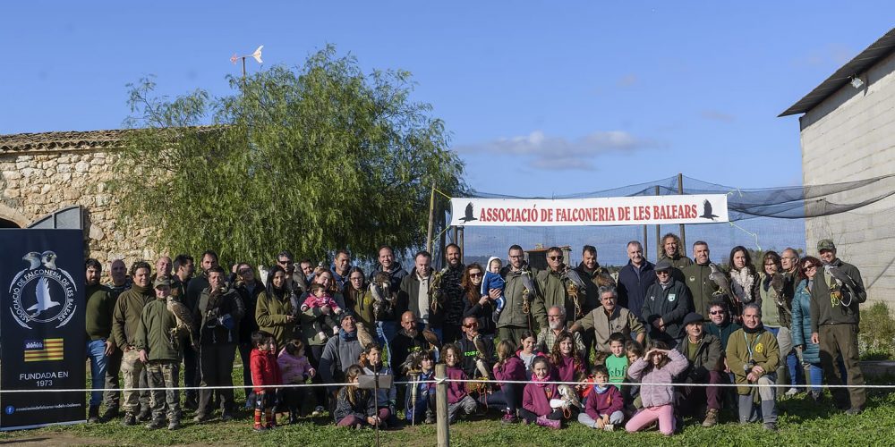 Imagen en miniatura de entrada