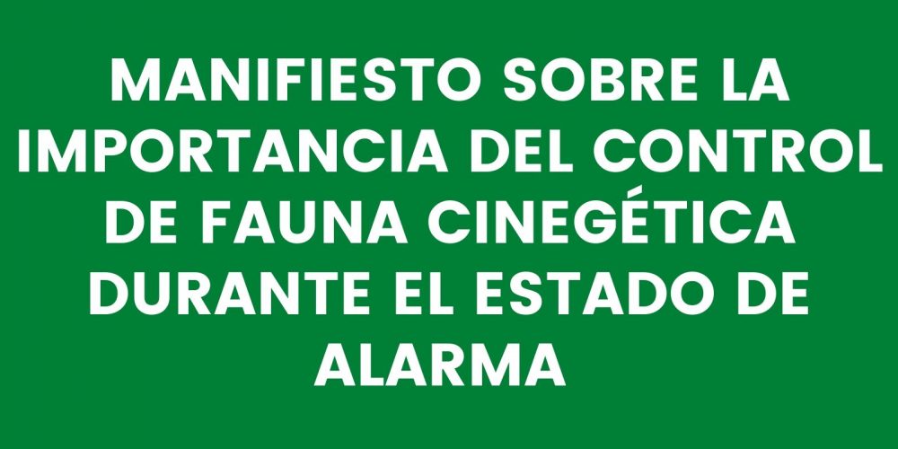 Imagen en miniatura de entrada