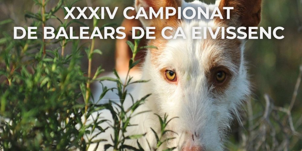 Llega el XXXIV Campeonato de Baleares de Ca Eivissenc