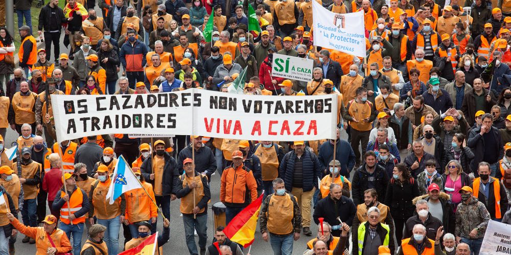 Imagen en miniatura de entrada