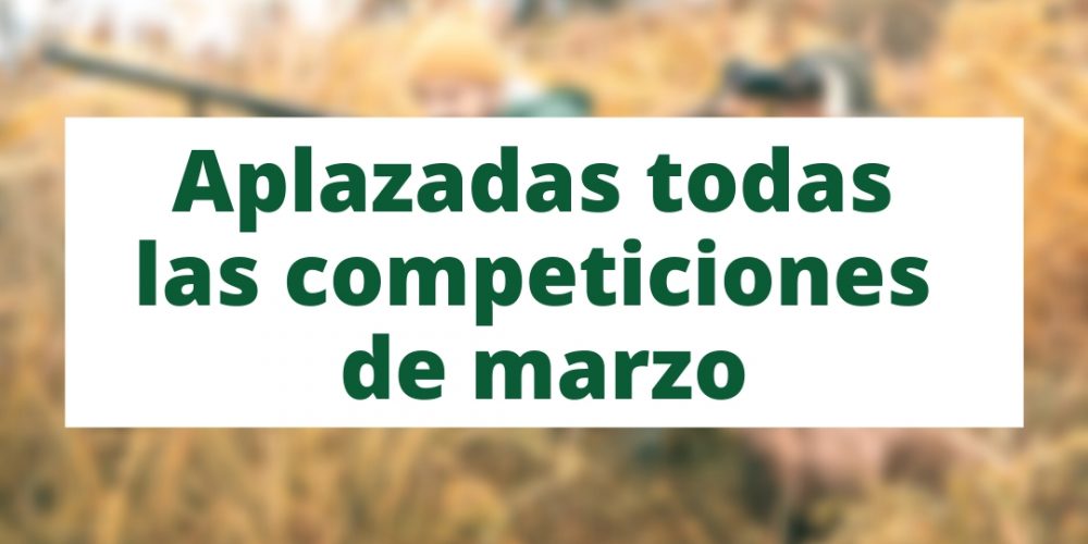 Imagen en miniatura de entrada