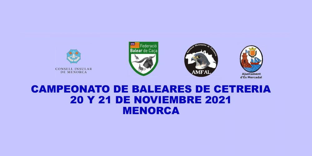 Imagen en miniatura de entrada