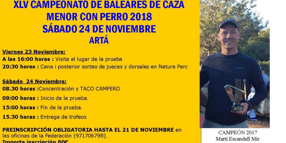 Imagen en miniatura de entrada