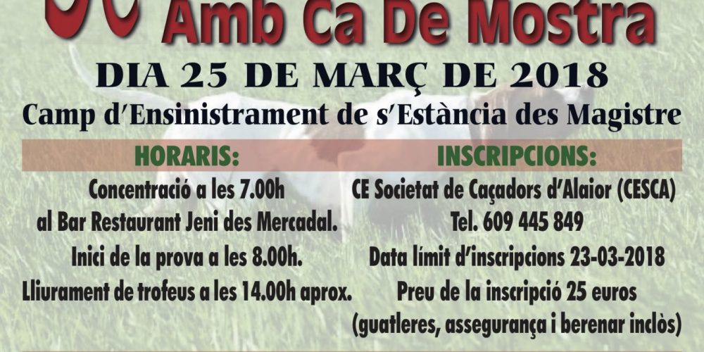 Imagen en miniatura de entrada
