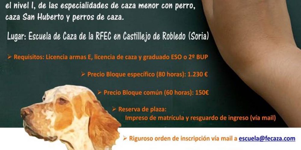 Imagen en miniatura de entrada