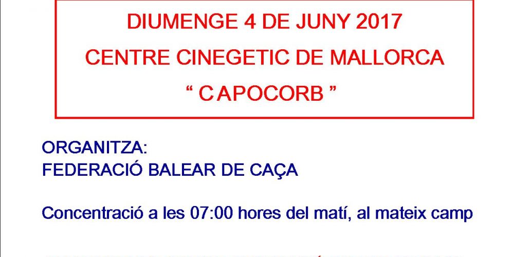 Imagen en miniatura de entrada