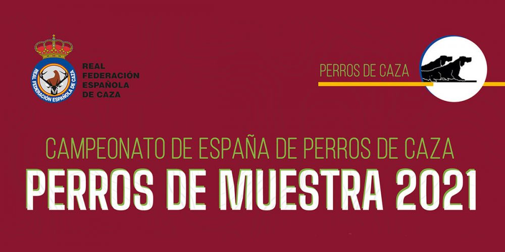 Imagen en miniatura de entrada