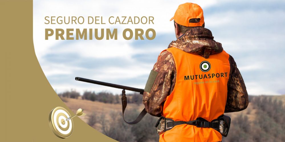 Imagen en miniatura de entrada