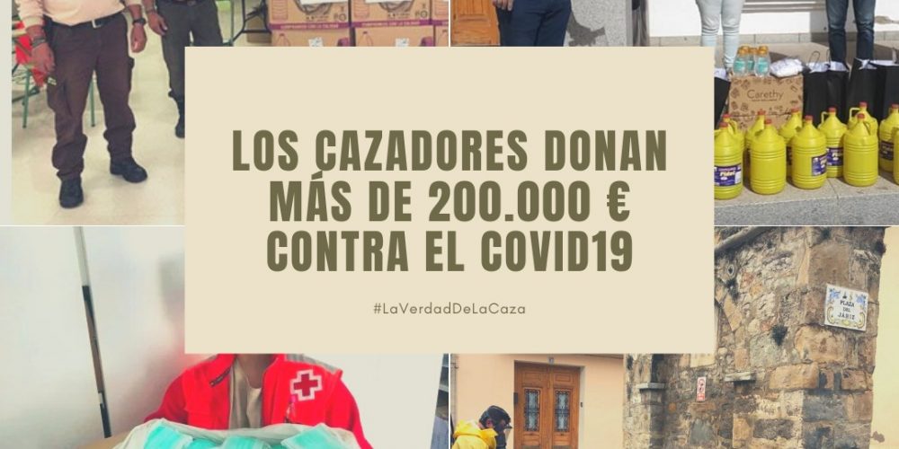 Imagen en miniatura de entrada