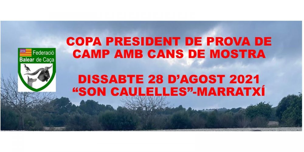 Imagen en miniatura de entrada