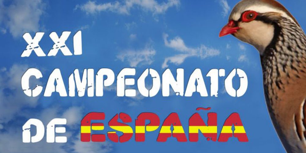 Imagen en miniatura de entrada