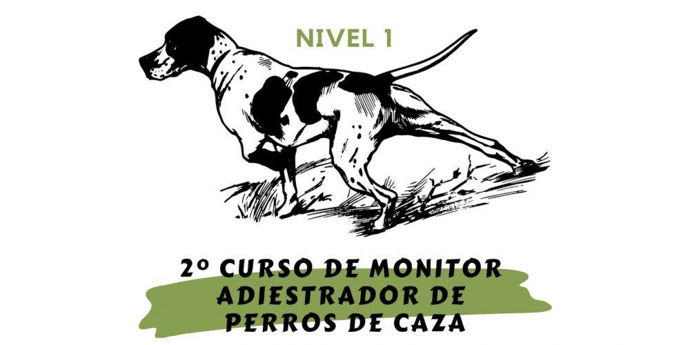 Imagen en miniatura de entrada