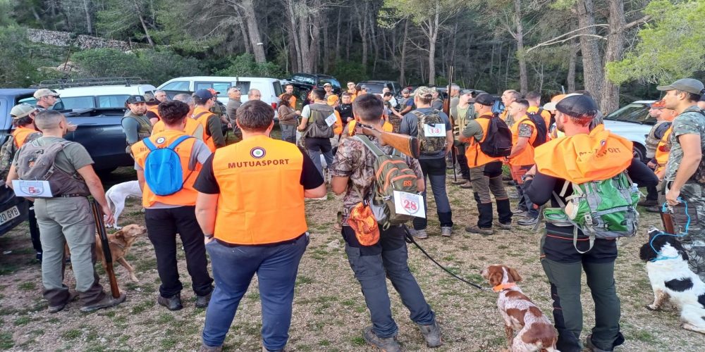 Pollença acogerá el Campeonato de Baleares de Caza Menor con Perro 2025