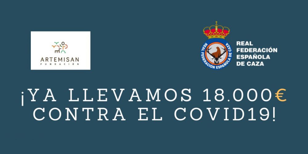 Imagen en miniatura de entrada