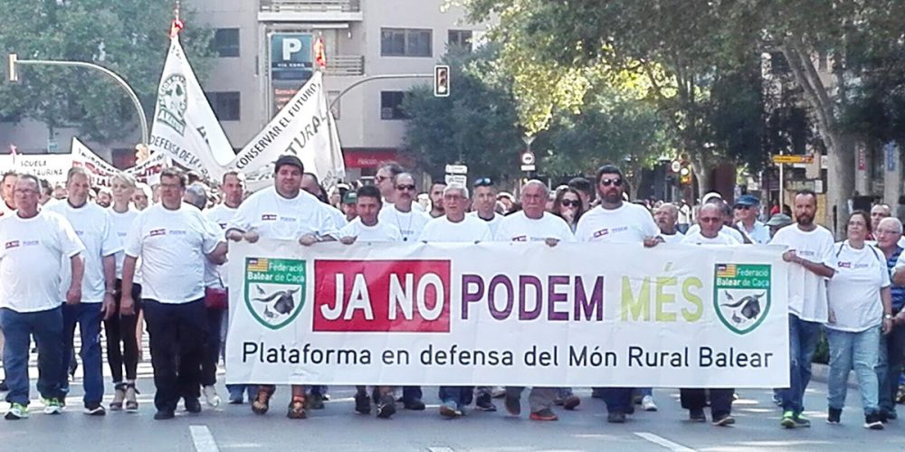 Imagen en miniatura de entrada