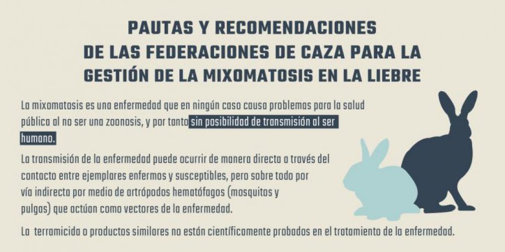 Imagen en miniatura de entrada