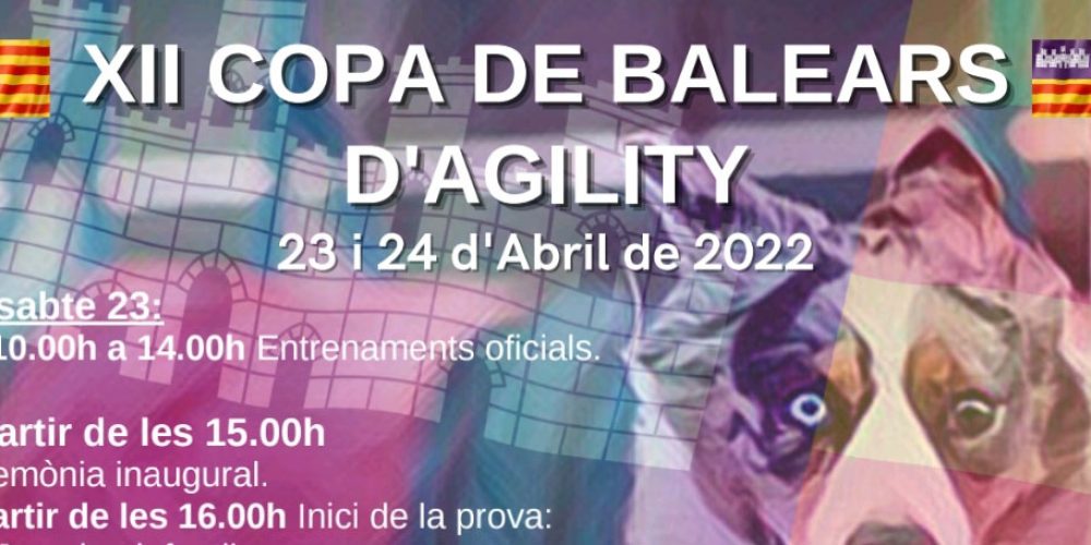 Imagen en miniatura de entrada